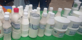 Consommation du lait : Ce qu’il faut savoir