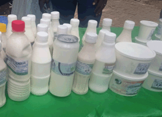 Consommation du lait : Ce qu’il faut savoir