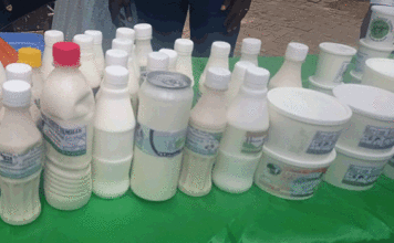 Consommation du lait : Ce qu’il faut savoir