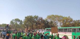 Protection de l’environnement : L’engagement incontesté des femmes