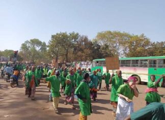 Protection de l’environnement : L’engagement incontesté des femmes