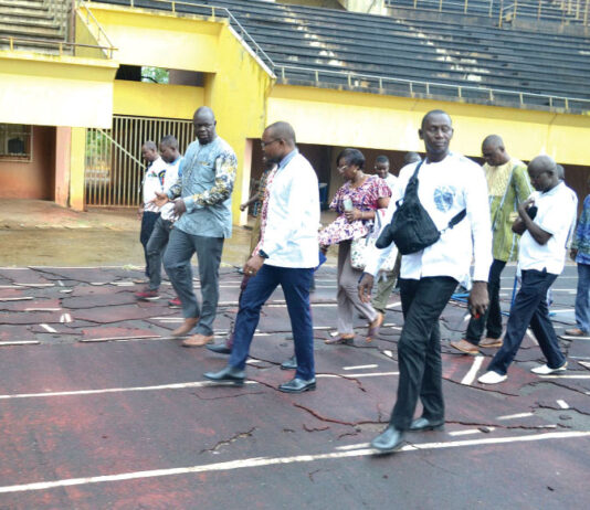 SNC Bobo 2024 : la pelouse du stade Sangoulé-Lamizana fera peau neuve pour l’ouverture