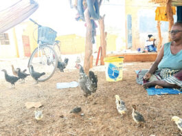 Sécurité alimentaire et nutritionnelle : ces personnes vivant avec un handicap au front contre la faim