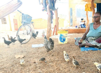 Sécurité alimentaire et nutritionnelle : ces personnes vivant avec un handicap au front contre la faim