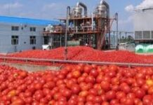 Usine de transformation de la tomate de Bobo-Dioulasso : Le gouvernement va injecter 225 millions FCFA pour améliorer l’accès à la route