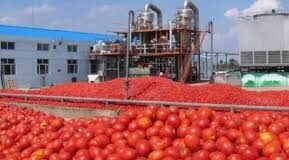 Usine de transformation de la tomate de Bobo-Dioulasso : Le gouvernement va injecter 225 millions FCFA pour améliorer l’accès à la route