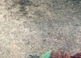 Reconquête du territoire : Les forces combattantes neutralisent un terroriste qui semait la terreur dans les Banwa