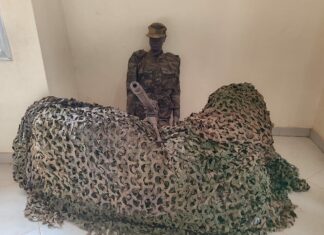 SNC2024 : Une affluence record de près de 2000 visiteurs en une seule journée au Musée des Armées