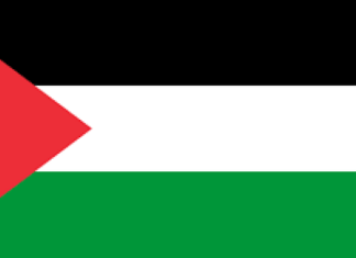 Echec du Projet de résolution sur la Palestine: Le Royaume d’Arabie saoudite exprime ses regrets