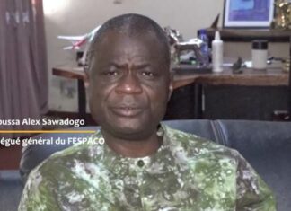 Moussa Alex Sawadogo : l’expérience de la Chine pourrait nous aider à redynamiser le cinéma africain