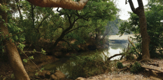 Village de Poun dans le Sanguié : « Ötijeul », une rivière sacrée aux multiples bienfaits