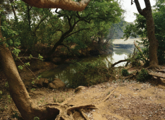 Village de Poun dans le Sanguié : « Ötijeul », une rivière sacrée aux multiples bienfaits