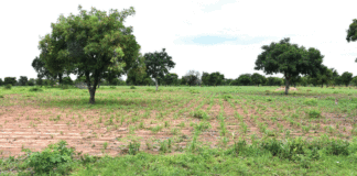 Vente de terres à Pô: Plusieurs médiations au milieu des incompréhensions et des accusations