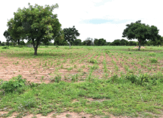 Vente de terres à Pô: Plusieurs médiations au milieu des incompréhensions et des accusations