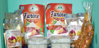 Patate douce à chair orange : une trouvaille des laboratoires burkinabè riche en éléments nutritifs