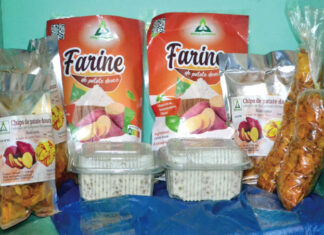 Patate douce à chair orange : une trouvaille des laboratoires burkinabè riche en éléments nutritifs