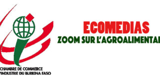 Coopérative « Viimbaoré » de Ouahigouya : le combat de l’autosuffisance par la vente de céréales et la transformation agroalimentaire