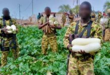 Toeni : la gendarmerie nationale réalise un jardin potager avec les populations pour faire face à la pénurie de légume