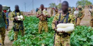 Toeni : la gendarmerie nationale réalise un jardin potager avec les populations pour faire face à la pénurie de légume