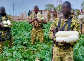 Toeni : la gendarmerie nationale réalise un jardin potager avec les populations pour faire face à la pénurie de légume