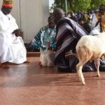 Célébration de la Journée des coutumes et traditions au Burkina Faso : un nouveau chapitre dans l’histoire nationale