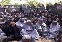 Nigeria : Des Centaines d’Otages Sauvés d’un Camp de Boko Haram
