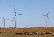 Transition écologies: Quels sont les intérêts de l’Afrique ?