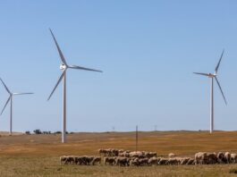 Transition écologies: Quels sont les intérêts de l’Afrique ?