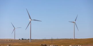 Transition écologies: Quels sont les intérêts de l’Afrique ?