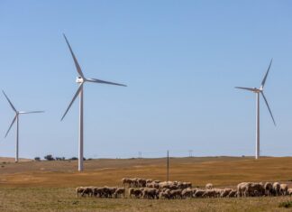 Transition écologies: Quels sont les intérêts de l’Afrique ?