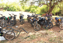 Les Forces combattantes évitent un carnage à Mané, et font des prisonniers à Zambanga