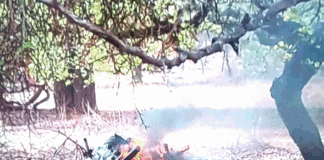 Les forces combattantes ont rasé plusieurs bases terroristes dans plusieurs localités