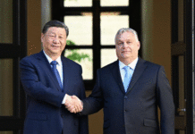 La Chine et la Hongrie élèvent leurs relations au rang de partenariat stratégique global à toute épreuve