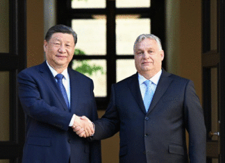 La Chine et la Hongrie élèvent leurs relations au rang de partenariat stratégique global à toute épreuve