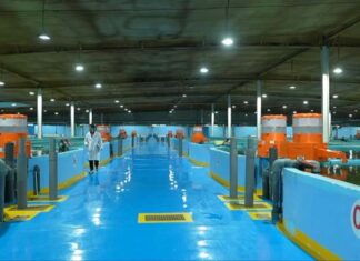 La protection écologique du lac Qinghai