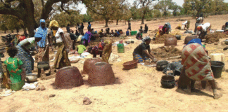 Pression sur le couvert végétal: des Foyers améliorés pour réduire la déforestation