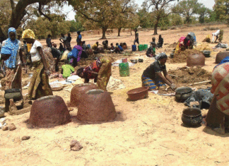 Pression sur le couvert végétal: des Foyers améliorés pour réduire la déforestation