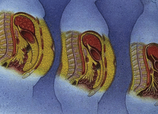 Graisse abdominale: le choix d’une alimentation équilibrée est essentiel