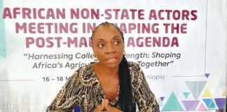 Josephine Atangana, membre de la Plateforme régionale des organisations paysannes d’Afrique Centrale : « L’agroécologie a une dimension pratique, politique et stratégique qui peut aider l’Afrique à s’en sortir …»