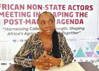 Josephine Atangana, membre de la Plateforme régionale des organisations paysannes d’Afrique Centrale : « L’agroécologie a une dimension pratique, politique et stratégique qui peut aider l’Afrique à s’en sortir …»