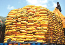 Importation de céréales au Burkina : 1 040 tonnes de riz avarié saisies à Dakola