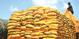 Importation de céréales au Burkina : 1 040 tonnes de riz avarié saisies à Dakola