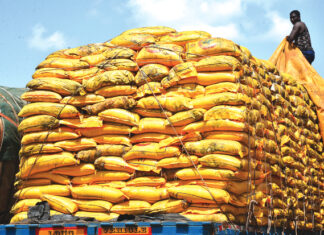 Importation de céréales au Burkina : 1 040 tonnes de riz avarié saisies à Dakola