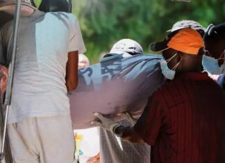 Jeûne mortel au Kenya : 429 corps d’adeptes de la secte évangélique exhumés dans la forêt de Shakaola