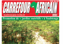 Une Carrefour africain n°1303-mai 2024