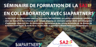 Séminaire de formation de la SA2IF en collaboration avec SIAPARTNERS