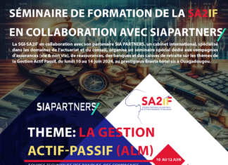 Séminaire de formation de la SA2IF en collaboration avec SIAPARTNERS