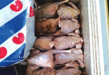 Lutte contre la fraude: une centaine de cartons de poulets avariés saisie