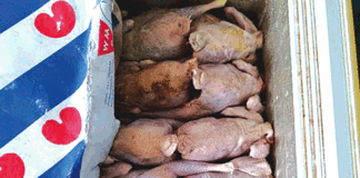 Lutte contre la fraude: une centaine de cartons de poulets avariés saisie