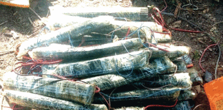 Sud-est de Fada N’Gourma : le BIR 12 neutralise des terroristes après de violents combats